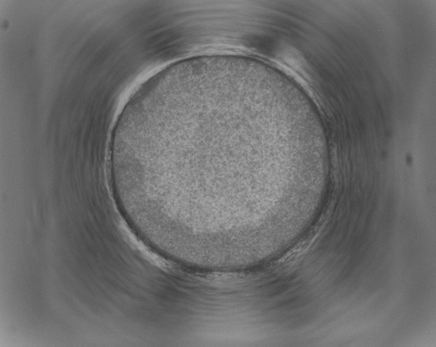 X0000067841379200605111631