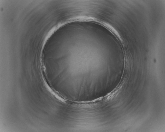 X0000067841381200605111631