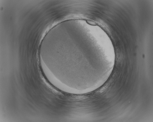 X0000067841382200605111631