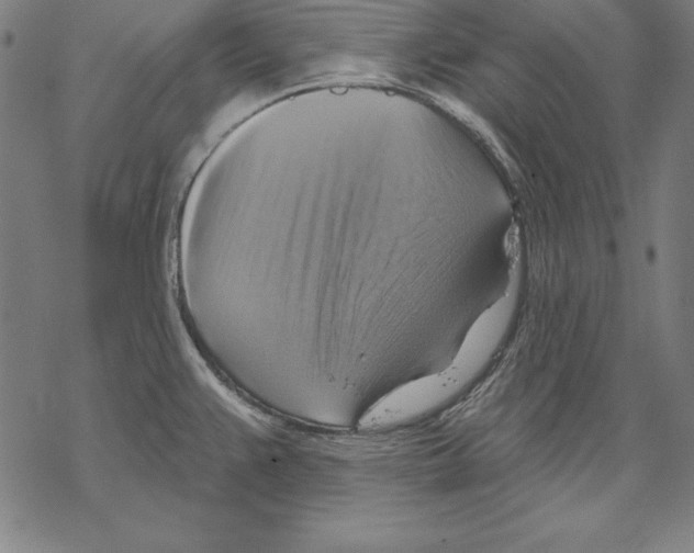 X0000067841383200605111631