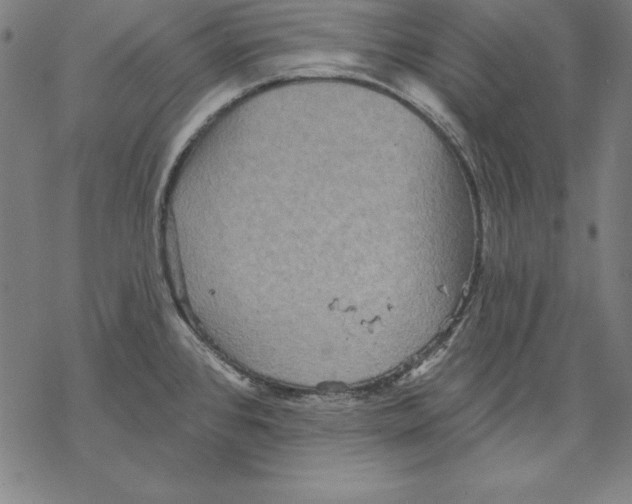 X0000067841384200605111631