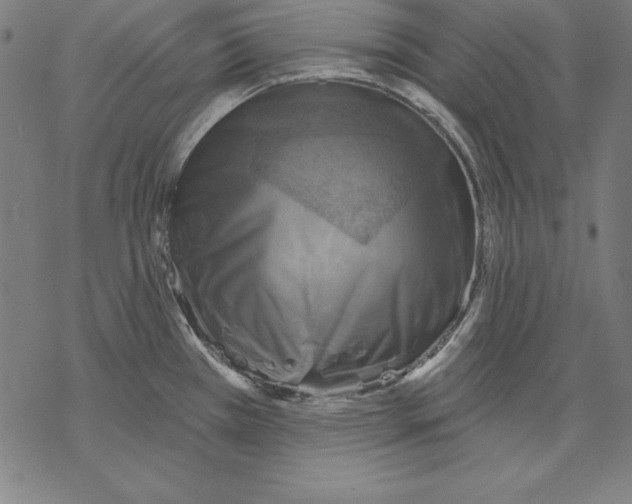 X0000067841385200605111631