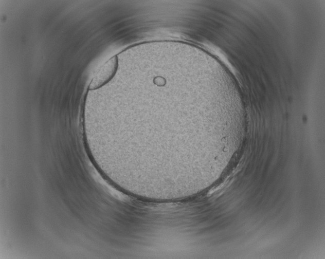 X0000067841387200605111631