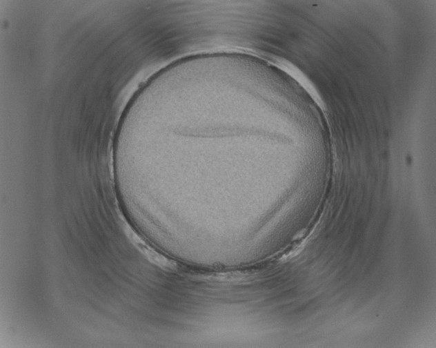 X0000067841388200605111631