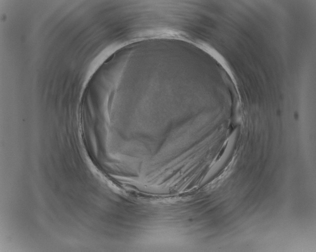 X0000067841389200605111631