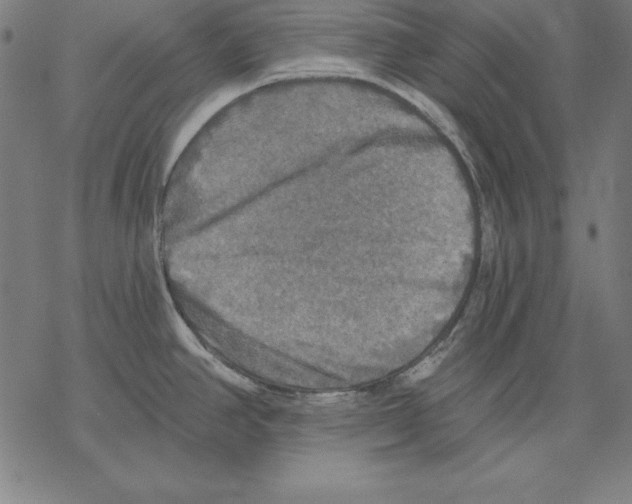 X0000067841390200605111631