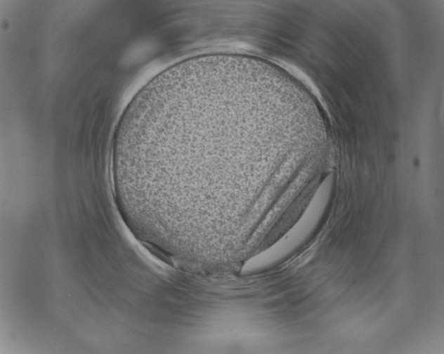 X0000067841391200605111631