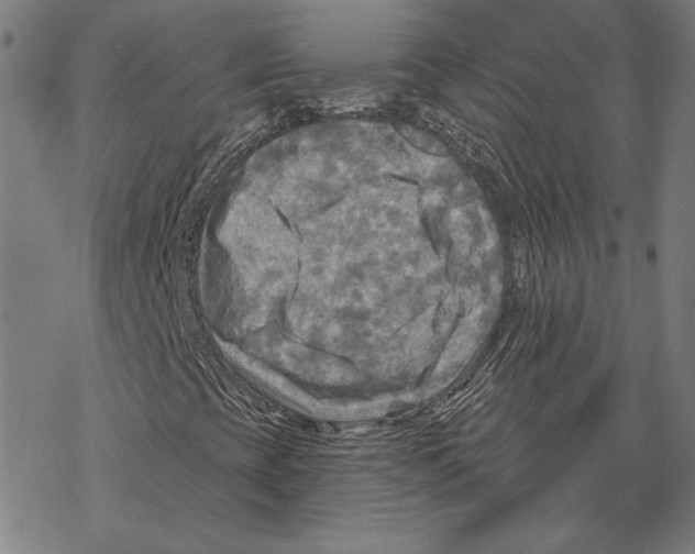 X0000067841393200605111630