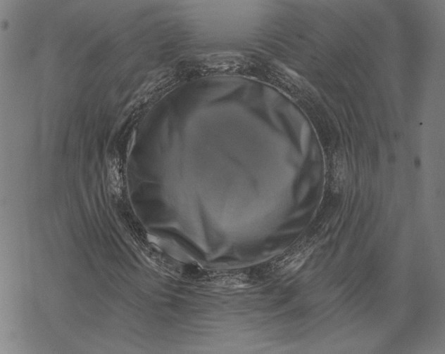 X0000067841394200605111630