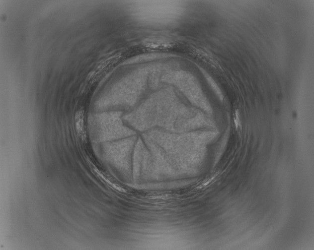 X0000067841396200605111630