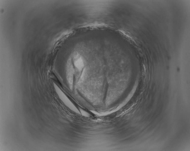 X0000067841398200605111630