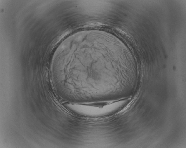 X0000067841401200605111630