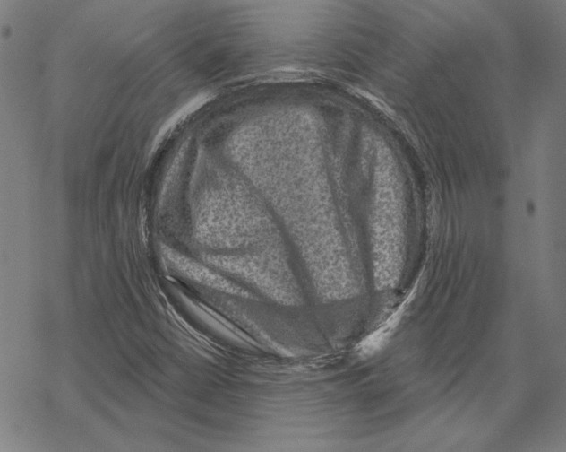 X0000067841402200605111630