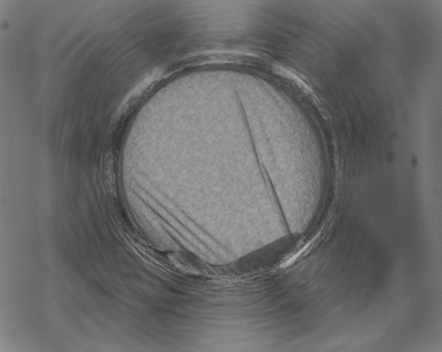 X0000067841403200605111630