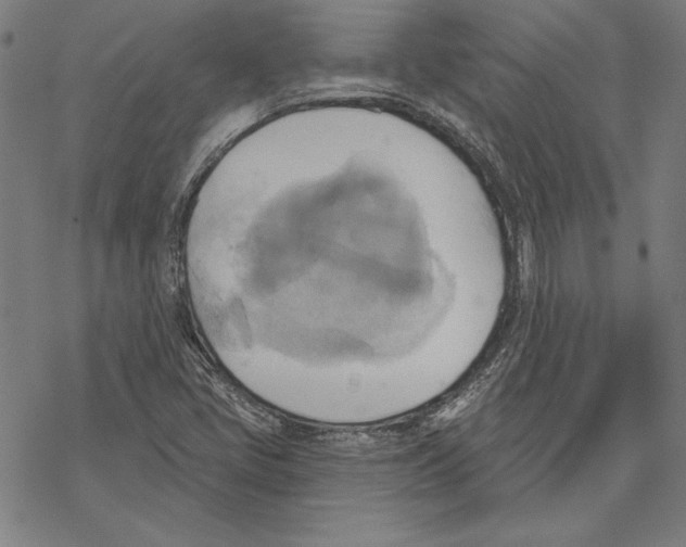 X0000067841405200605111630