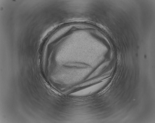 X0000067841406200605111631