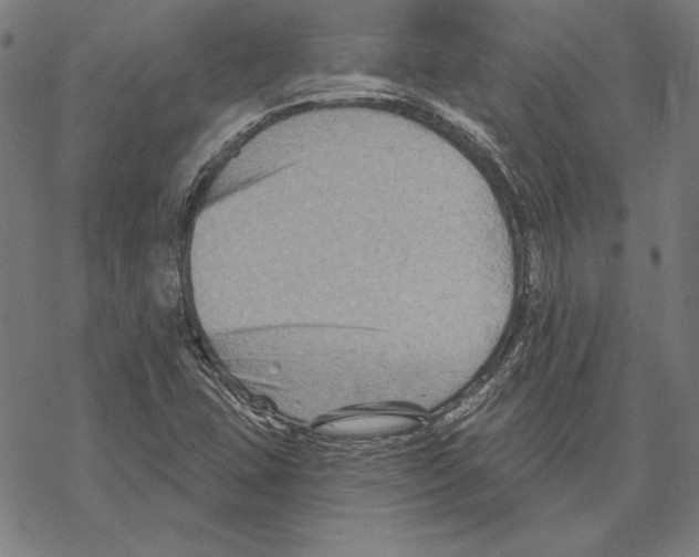 X0000067841407200605111631