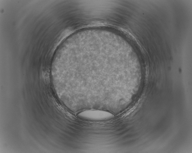 X0000067841409200605111631