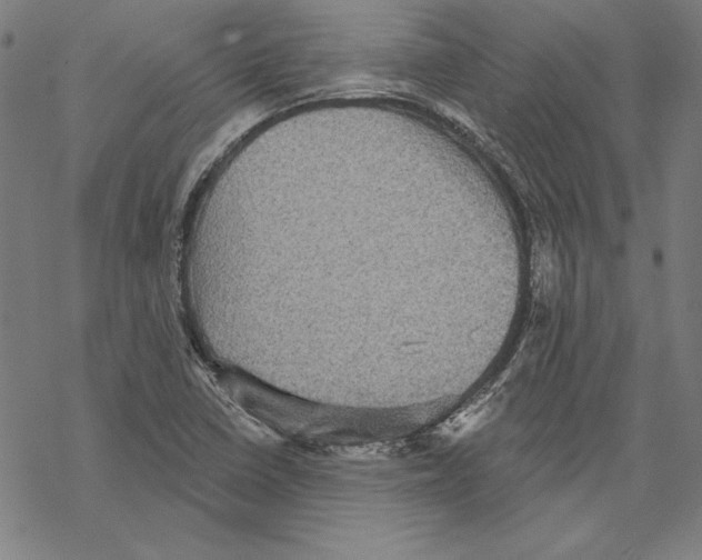 X0000067841410200605111631