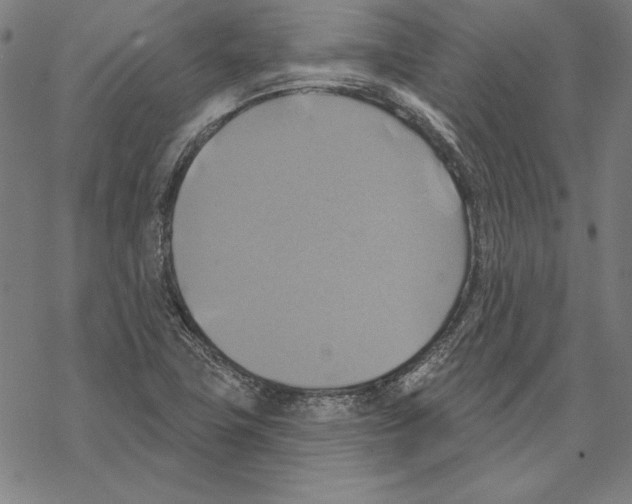 X0000067841411200605111631