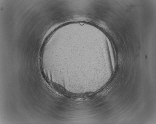 X0000067841412200605111631