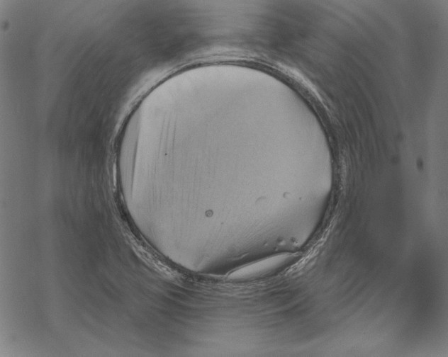 X0000067841413200605111631