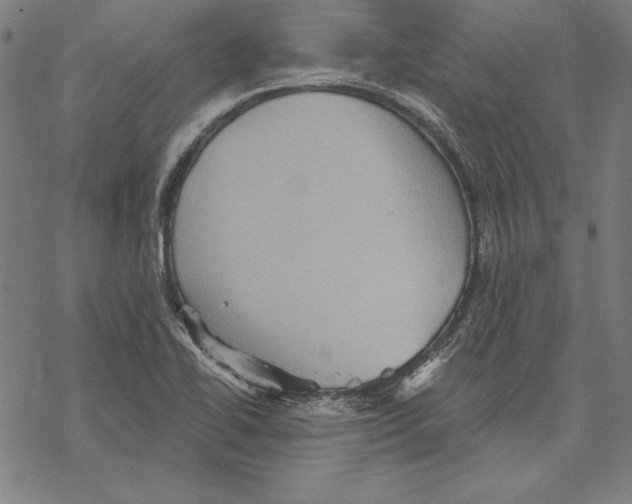 X0000067841414200605111631