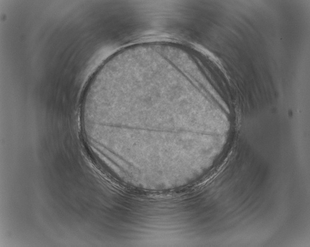 X0000067841415200605111631