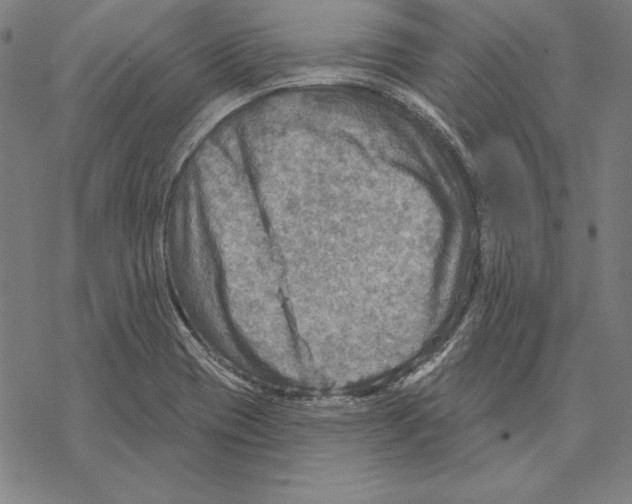 X0000067841417200605111631