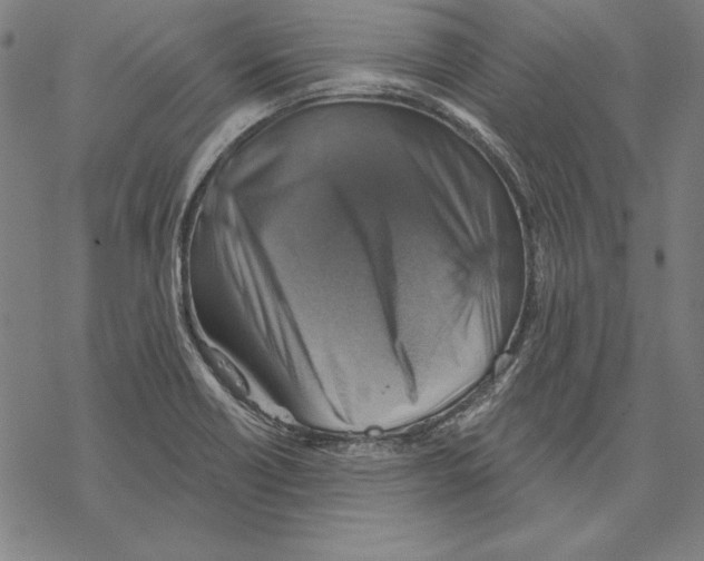 X0000067841418200605111631