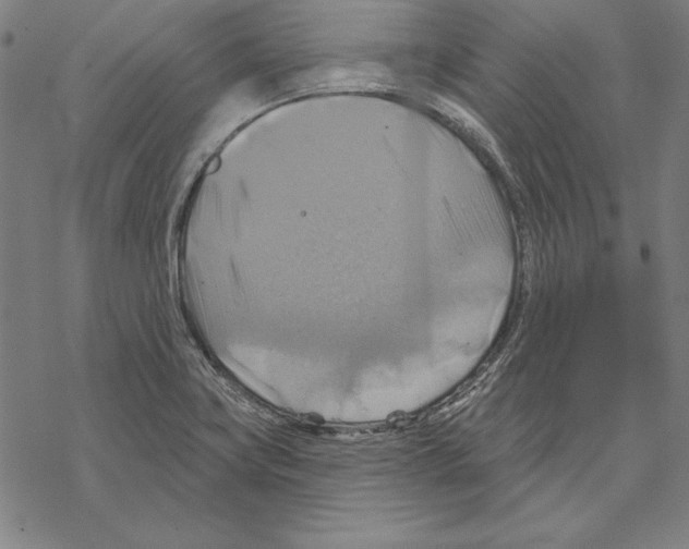 X0000067841419200605111631