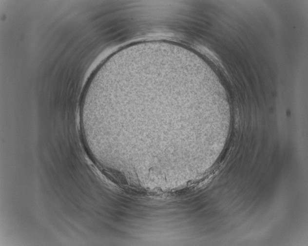 X0000067841420200605111631