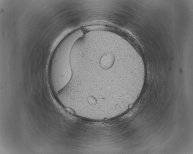 X0000067841422200605111631