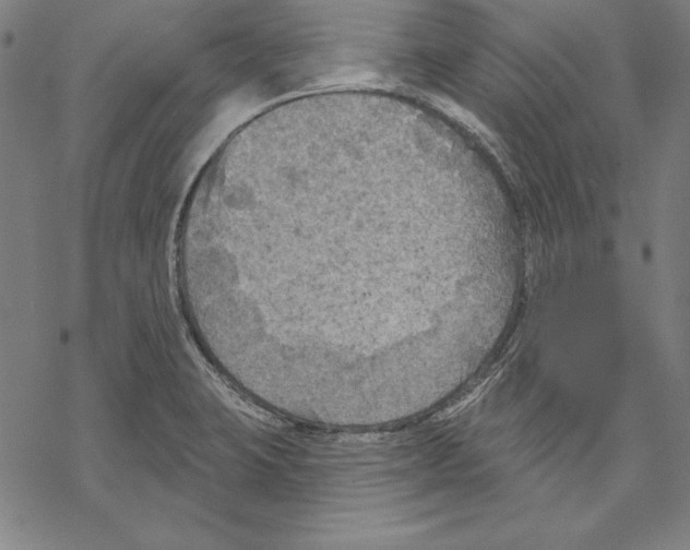 X0000067841423200605111631