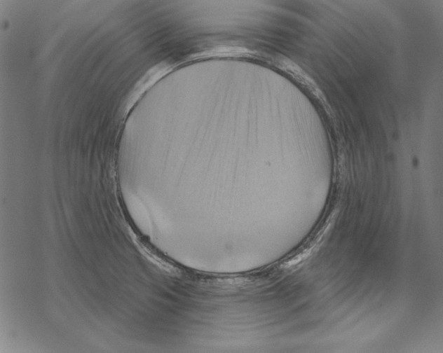 X0000067841425200605111631