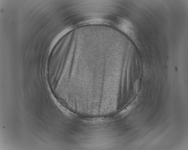 X0000067841426200605111631