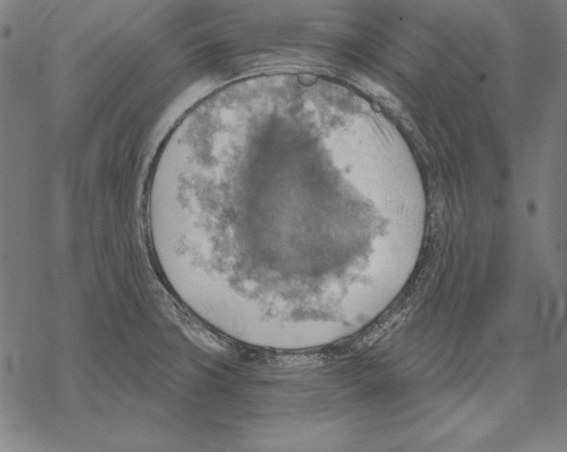 X0000067841427200605111631