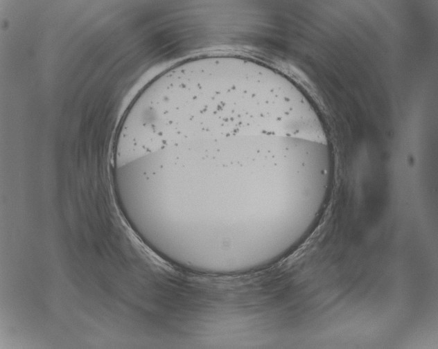 X0000067841428200605111631