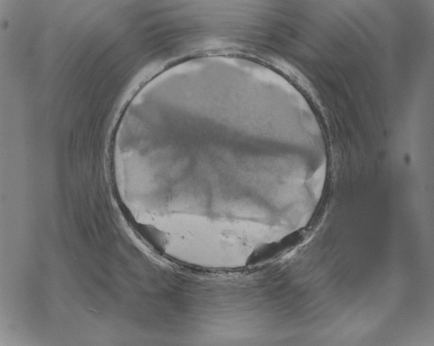 X0000067841429200605111631