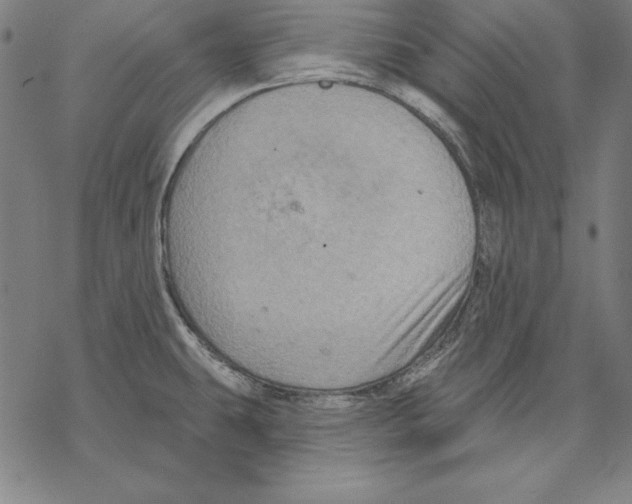 X0000067841431200605111631