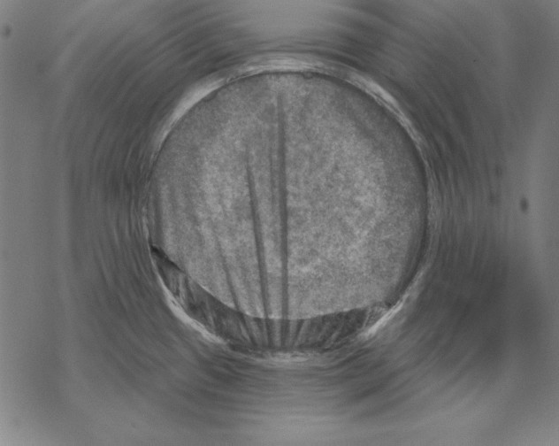 X0000067841433200605111631