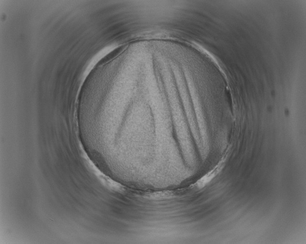 X0000067841434200605111631