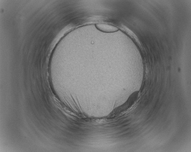 X0000067841435200605111631