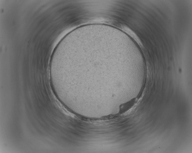 X0000067841436200605111631