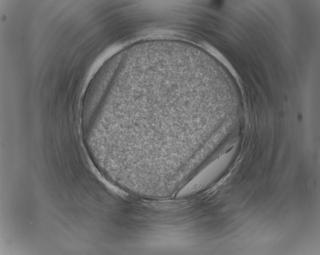 X0000067841437200605111631