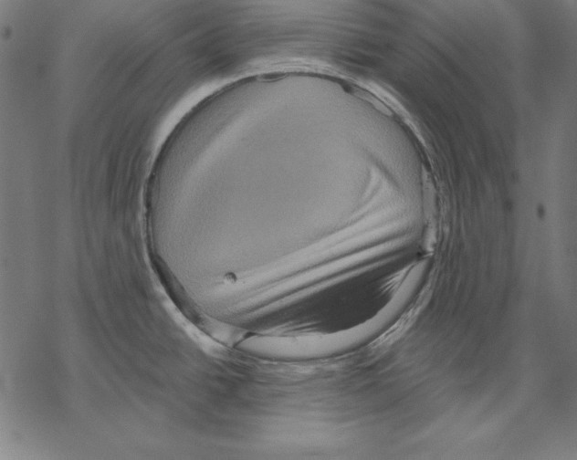 X0000067841438200605111631