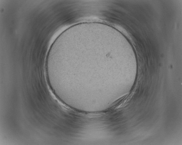 X0000067841440200605111631