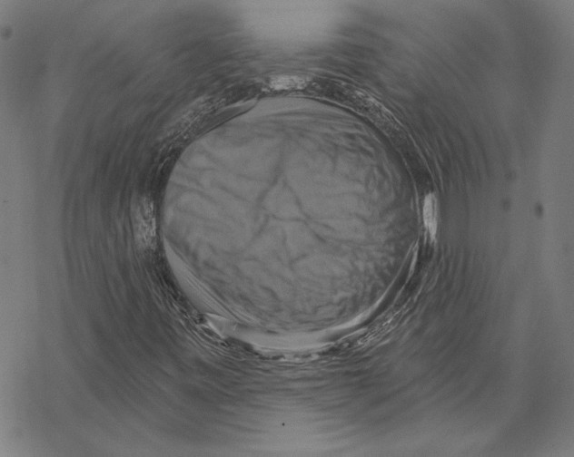 X0000067841443200605111630