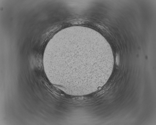 X0000067841444200605111630