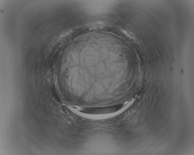 X0000067841445200605111630